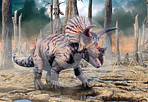 Triceratops 3D illustration