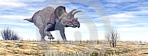 Triceratops dinosaur in the desert - 3D render