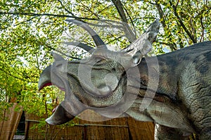 Triceratops dinosaur head with open mouth closeup