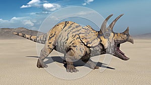 Triceratops, dinosaur reptile roars, prehistoric Jurassic animal in deserted nature environment, 3D render