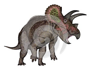 Triceratops dinosaur standing up - 3D render