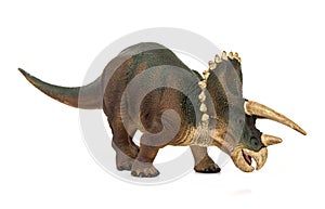 Triceratops dinosaurs herbivores photo