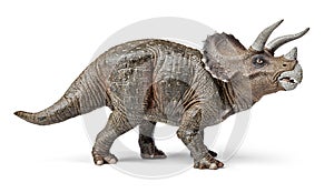 Triceratops dinosaurs toy with clipping path. photo