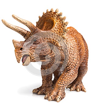 Triceratops