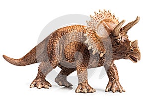 Triceratops