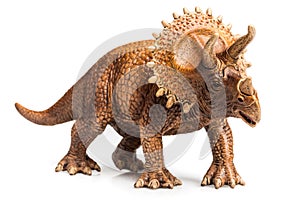 Triceratops