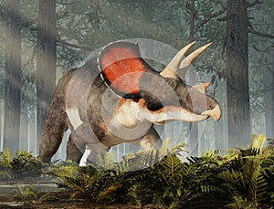 Triceratops in a Forest