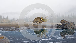 Triceratops horridus, dinosaur on the beach