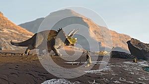 Triceratops horridus, dinosaur on the beach photo