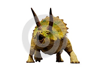 Triceratops horridus dinosaur, extinct prehistoric animal 3d render isolated on white background