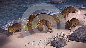 Triceratops horridus family on the beach, dinosaurs from the Jurassic in peaceful landscape