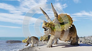 Triceratops horridus group, herd of dinosaurs enjoying the beach