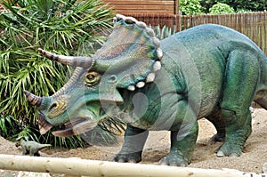 Triceratops model dinosaur