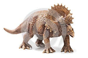 Triceratops plastic figurine in white background