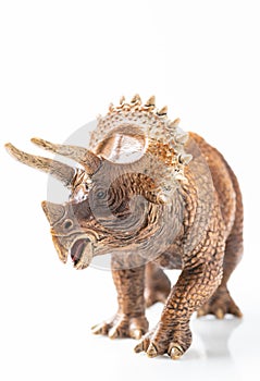 Triceratops plastic figurine in white background