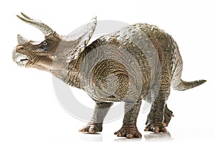 Triceratops plastic figurine in white background