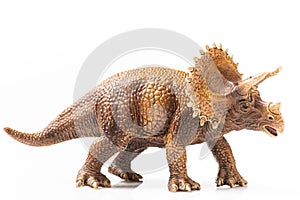 Triceratops plastic figurine in white background