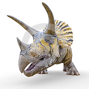 Triceratops profile picture id on white background