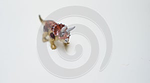 Triceratops or three horn dinosaur in top view