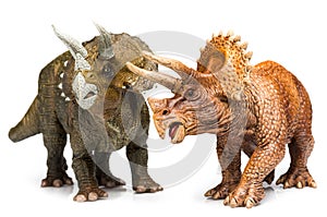 Triceratops