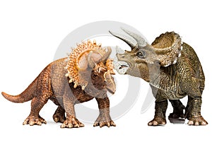 Triceratops
