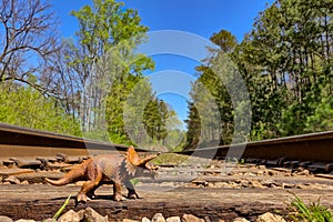 Triceratops walking on old rail road tracks