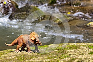 Triceratops walking on old rock with water in background