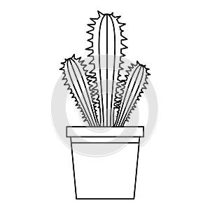 Trichocereus candicans icon, outline style