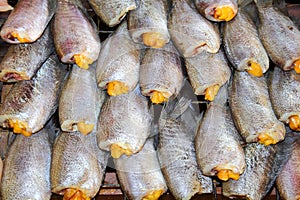 Trichogaster pectoralis Dried fishes in Thailan