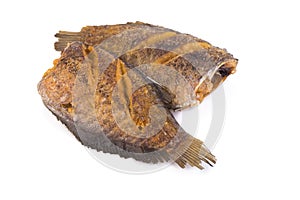 Trichogaster pectoralis, fried salid fish thai food on white background