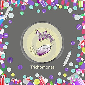 Trichomonas hominis- parasitic microscope photo