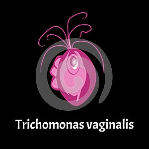 Trichomonas vaginal. Infographics. Vector illustration on isolated background.