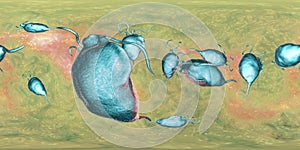 Trichomonas vaginalis protozoan, 360 degree panorama view
