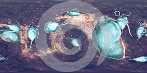 Trichomonas vaginalis protozoan, 360 degree panorama view