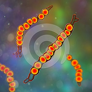 Trichophyton verrucosum fungi, 3D illustration