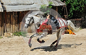 Trick riding,the Legend of Provins