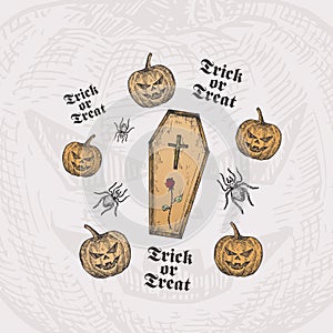 Trick or Treat Halloween Vector Background or Card Template. Hand Drawn Coffin with Cross and Rose and Pumpkins with