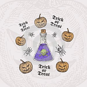 Trick or Treat Halloween Vector Background or Card Template. Hand Drawn Poison Bottle and Pumpkins with Spider Sketch