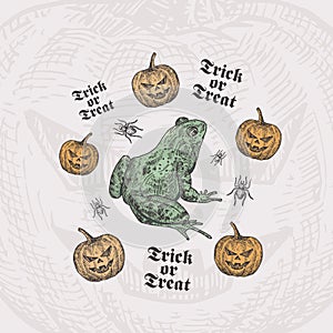 Trick or Treat Halloween Vector Background or Card Template. Hand Drawn Toad or Frog and Pumpkins with Spider Sketch and