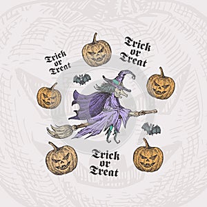 Trick or Treat Halloween Vector Background or Card Template. Hand Drawn Witch on a Broom and Pumpkins with Bats Sketch