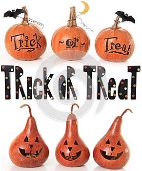 Trick or treat pumpkins