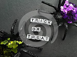 Trick or treat words on a black background with two spiders for Halloween