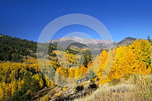 Trickle mountain landscape