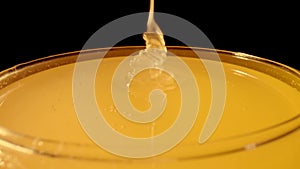 A trickle of thick golden honey flowing into a glass. Close up macro shot of honeyed molasses dripping on isolated black