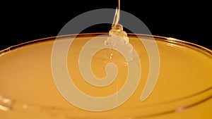 A trickle of thick golden honey flowing into a glass. Close up macro shot of honeyed molasses dripping on isolated black