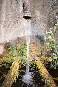A trickle of water falls into a old round tub of mossy stone.