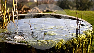 A trickle of water falls into a old round tub of mossy stone.