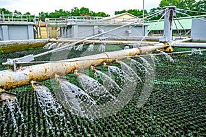 Trickling Filter Spraying Wastewater for Treatment at Sewage Pla