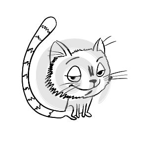 Tricky cat sketch photo