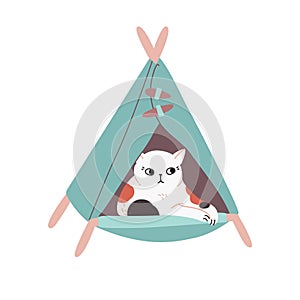 A tricolor little cat lies in a pet house. Tired adorable kitten is resting in a turquoise cat bed. Cute spotted animal